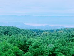 -铁山坪森林公园