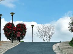 -东莞植物园