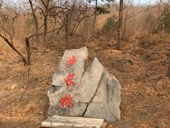 -北京十三陵国家森林公园蟒山景区