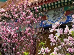-博山正觉寺