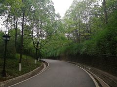 -富乐山