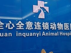 -全心全意连锁动物医院·微创中心·内科急重症·心脏专科(丰管路店)