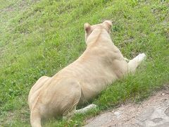 -沈阳森林动物园