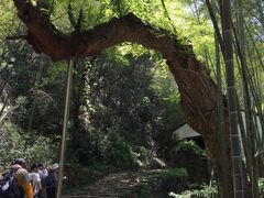 -会稽山峡洞漂流-上青古道