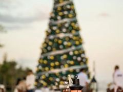 -海南清水湾莱佛士酒店