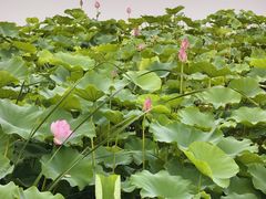 -云龙湖旅游景区