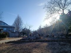 -北京西山国家森林公园