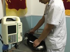 -中农大我爱我爱24h动物医院·中医针灸·猫专科·骨科医疗中心(双井店)