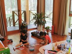 -黄海国家森林公园