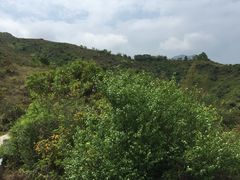 iphone_upload_pic-南丫岛