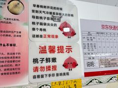 -老袁家蜜桃农场·阳山水蜜桃