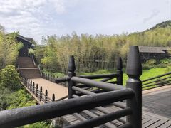 -大唐贡茶院