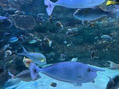-海合安成都极地海洋公园