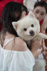 -JEFF STUDIO摄影摄像婚礼跟拍