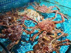 -东方大酒楼(万科店)