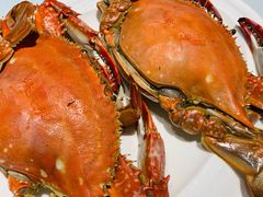 -日月昇渔家菜·海肠捞饭·大连海鲜(星海公园店)