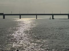 -南汇新城海滩