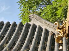 -护国法轮寺
