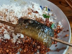 鳝鱼-晓靖轩烧烤(沙河风情店)