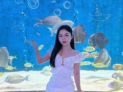 -合肥海洋世界