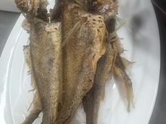 -沪依小酒馆心意菜