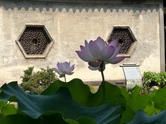 -兰亭风景区