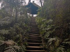 -青城山