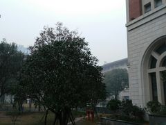 -长沙市青少年宫
