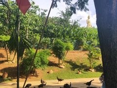 -西双版纳勐泐文化旅游区