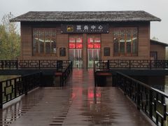 -泗洪洪泽湖湿地景区