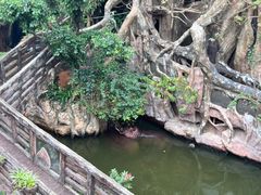 -长鹿旅游休博园