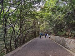 -紫金山山顶公园