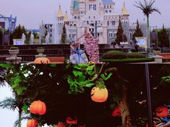 -青岛方特梦幻王国