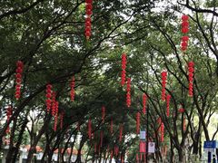-广州市白云山风景名胜区