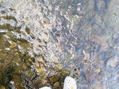 -武汉姚家山旅游景区