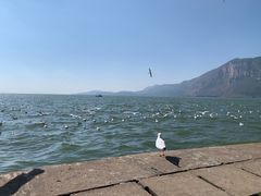 -滇池海埂公园