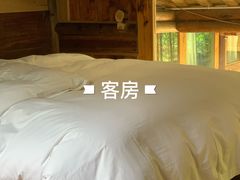 -芦沟竹海