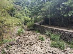 -大奇山国家森林公园