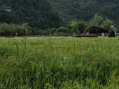 -靖西鹅泉风景区
