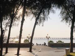 -宝安西湾红树林湿地公园