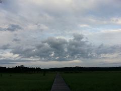 -塞罕坝国家级自然保护区