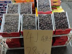 -江杨农产品批发市场