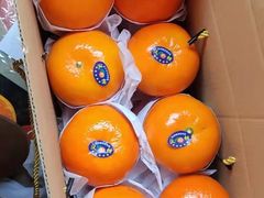 -堤口果品批发市场