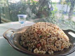 -蘑统田下·野生菌火锅