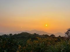 -黄贤森林公园