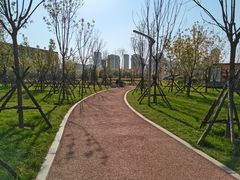 -长白岛森林公园