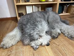 -沏点Trattoria意大利餐厅(新街口店)