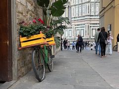 -圣母百花大教堂穹顶