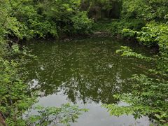 -日照海滨国家森林公园