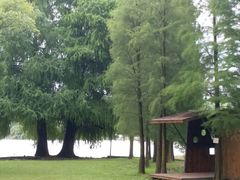 -南宁良凤江国家森林公园